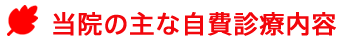 当院の主な自費診療内容